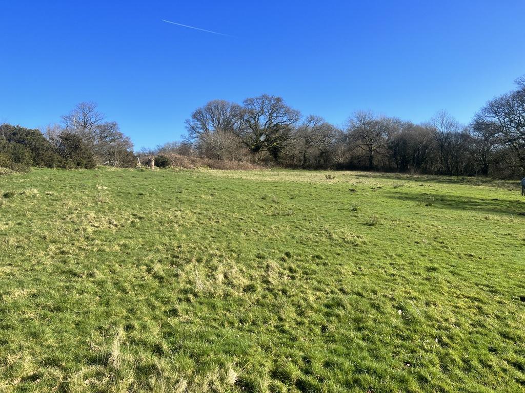 Land