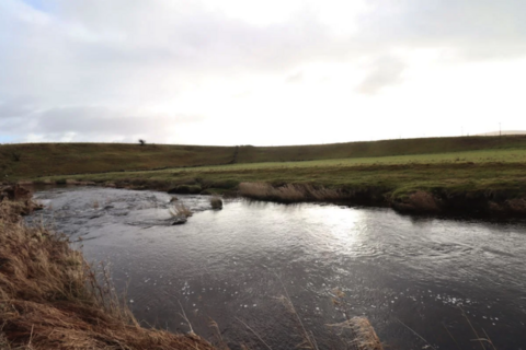 Land for sale, Willows by the Water, New Cumnock KA18