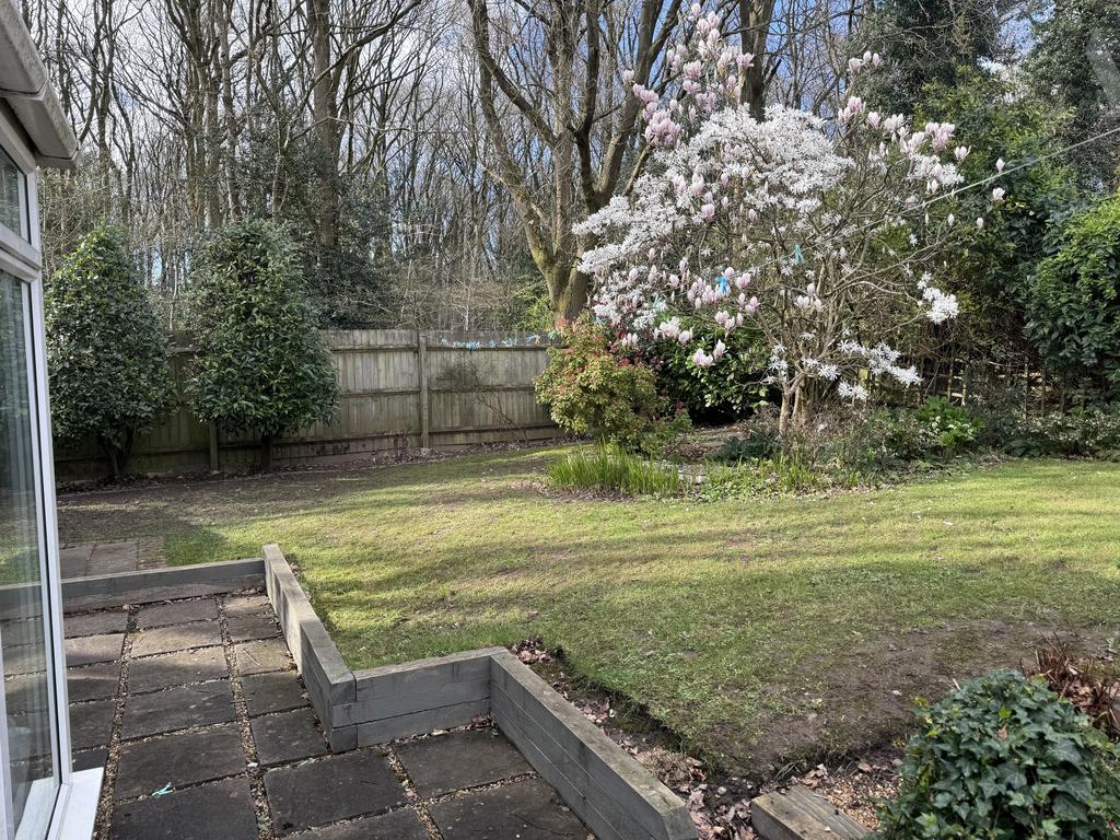 Cornbury Grove Garden 2