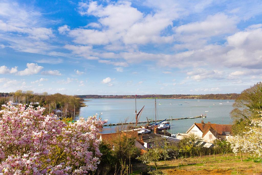 Views Of River
