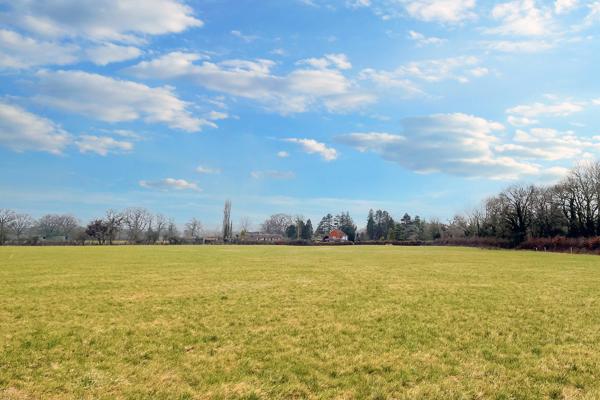 Flat, pasture land for sale in Newchapel.