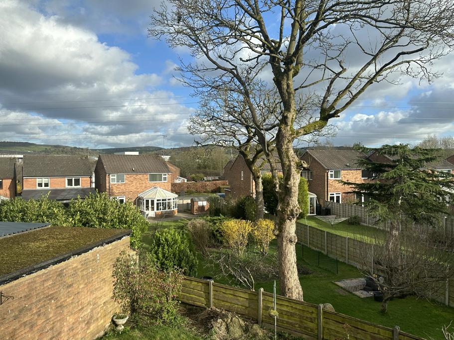 View from Back Bedroom