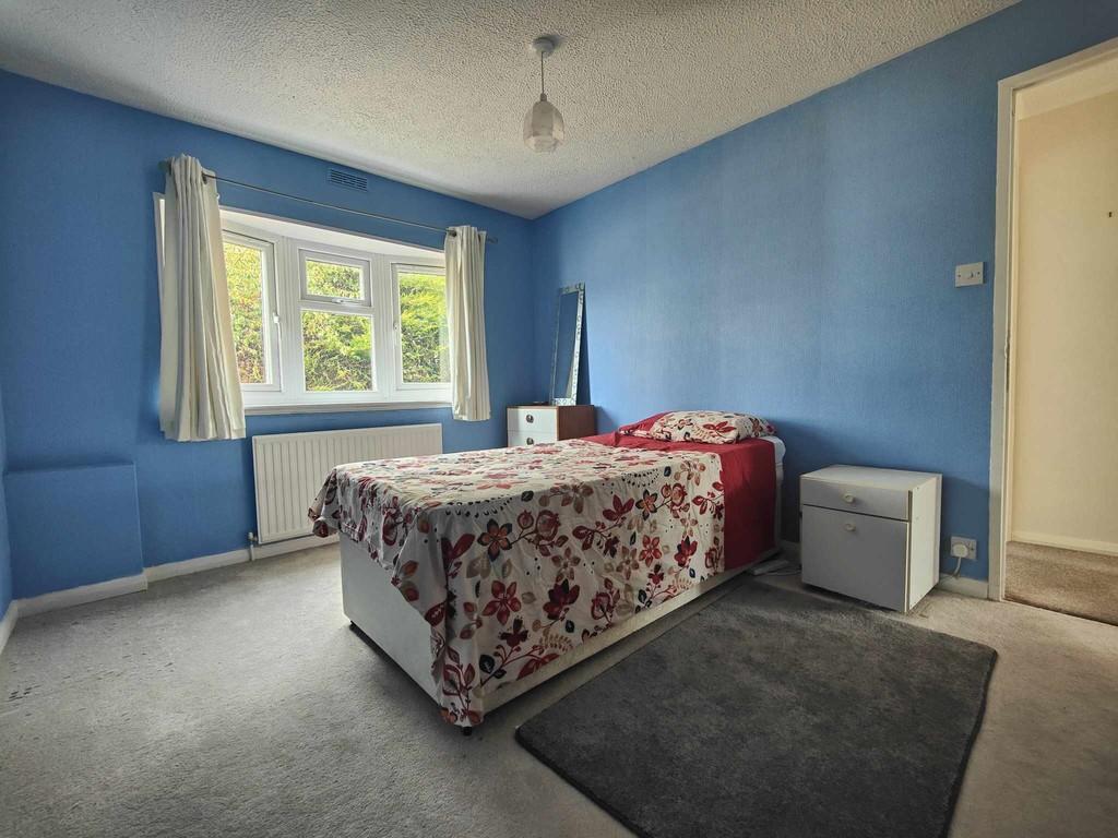 Main bed 2024