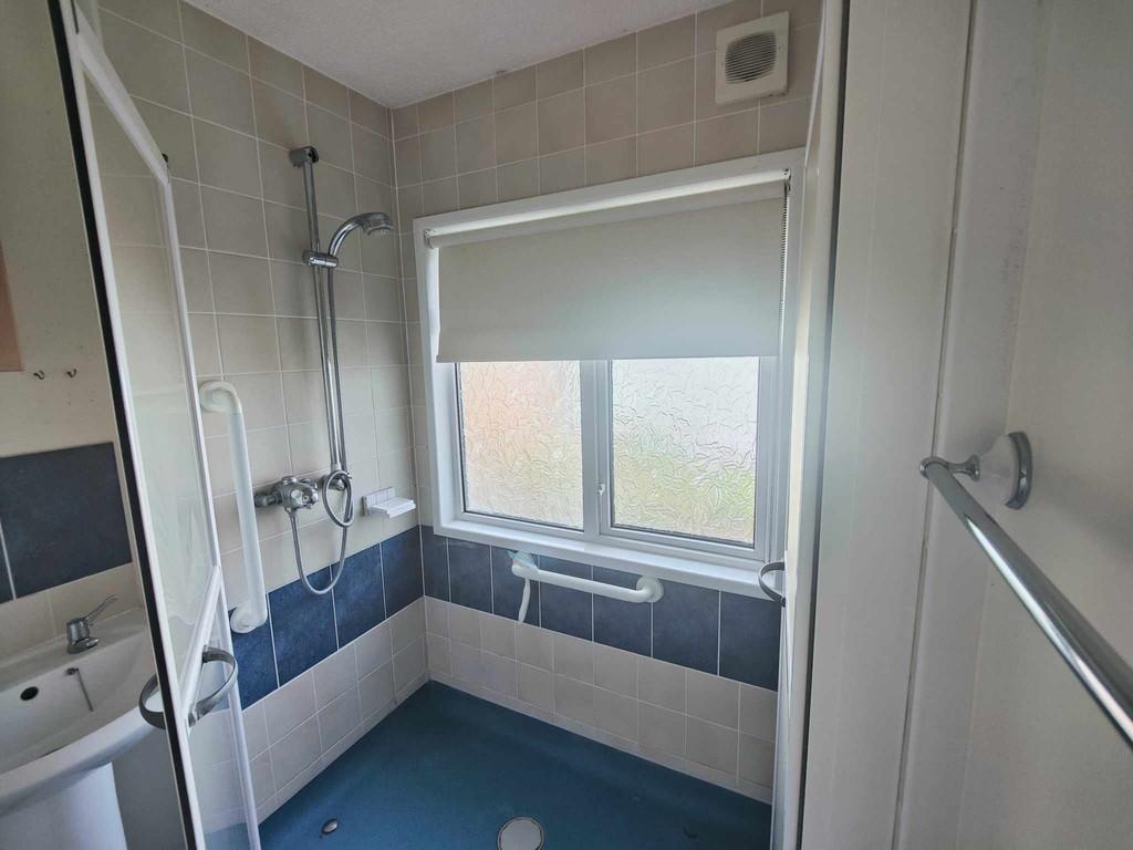 Shower 2024