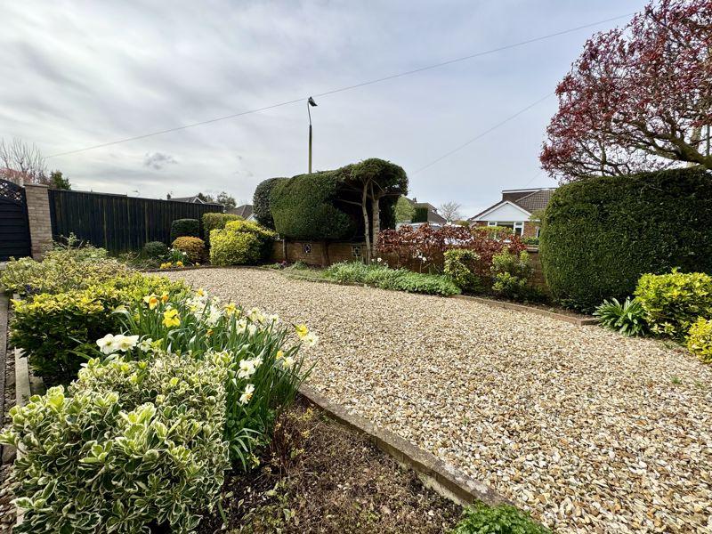 Side garden