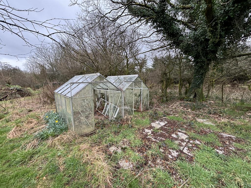 Vegetable garden