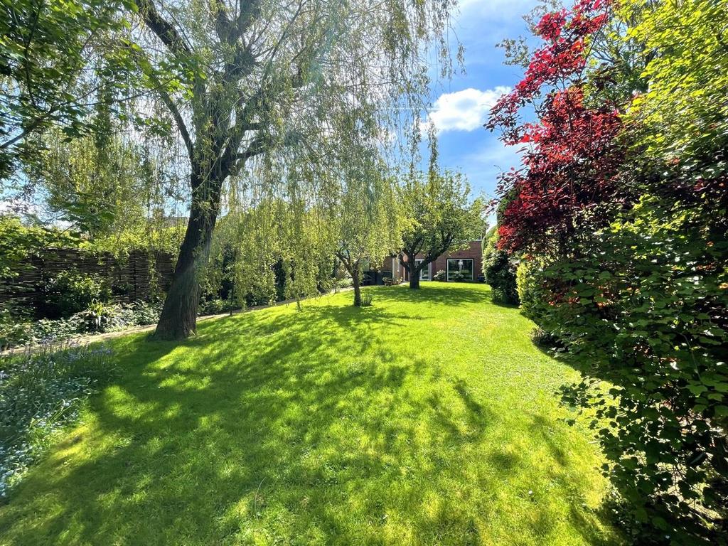 Rear GDN5.jpg