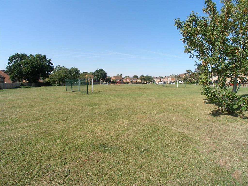 Playing Field