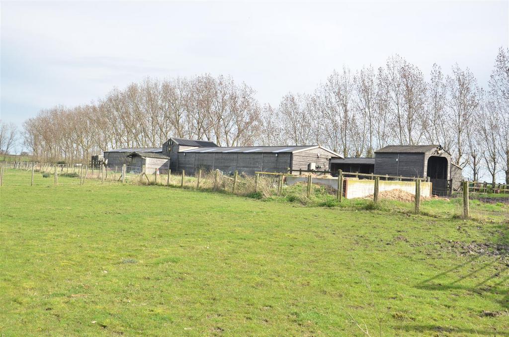 Whole yard .JPG