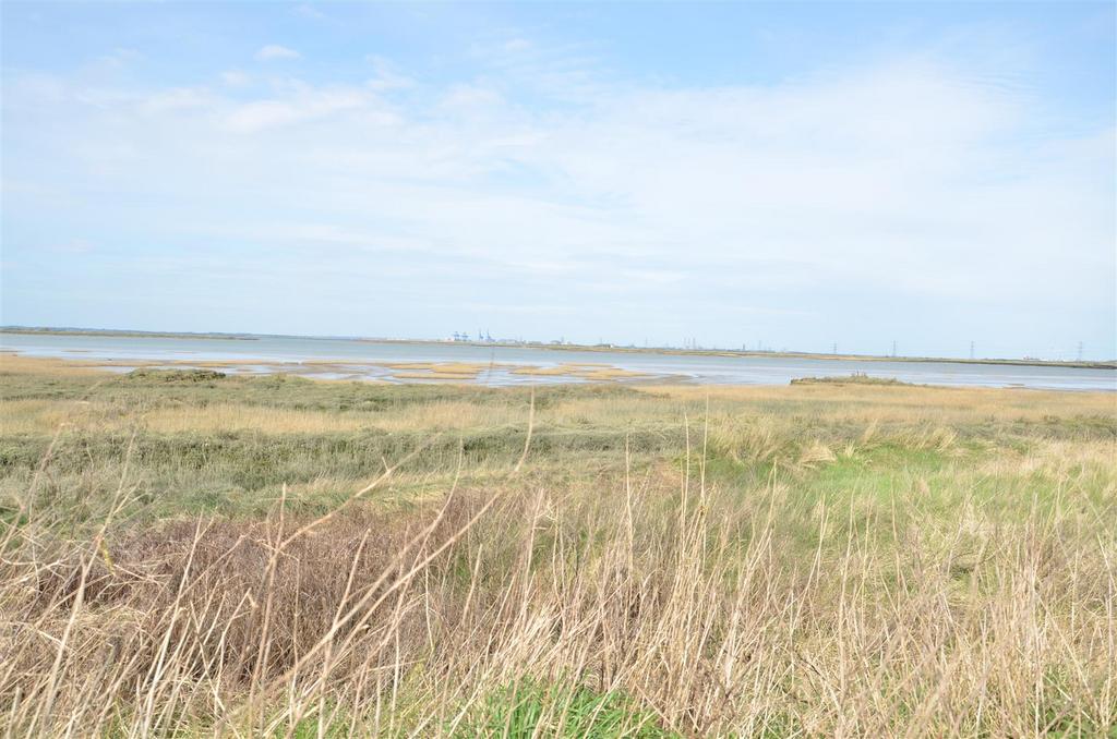 View from lane / drive.JPG