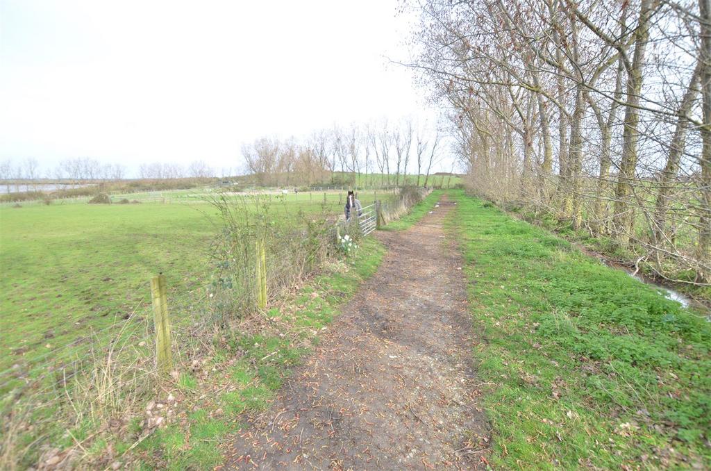 Track to Arenas.JPG