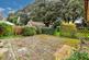 Patio / Decking