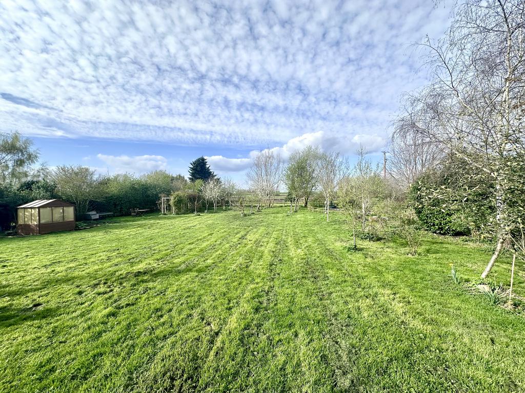 Garden 1