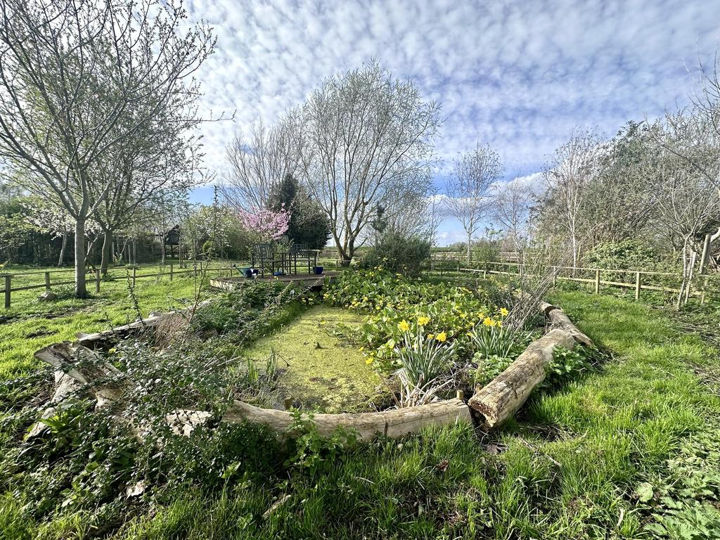 Garden 2