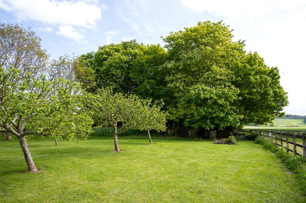 Orchard