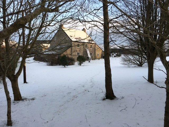 Snowy Grounds