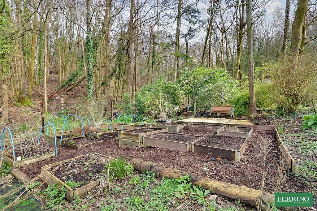 Raised Vegetable Beds