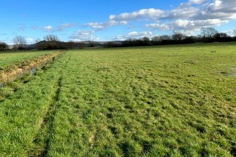 Land for sale, Walton Drove & Pitney Straight Drove, Somerton Moor, Somerton, TA10