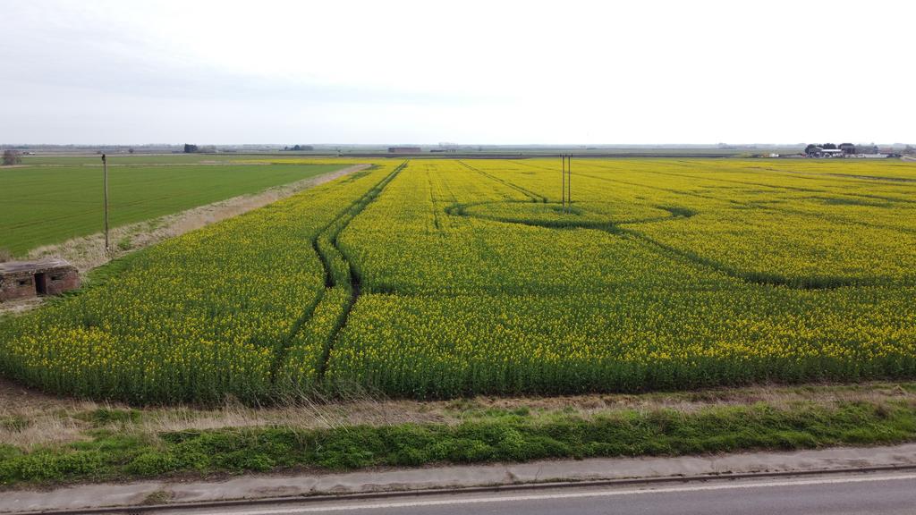 Dji 0569.jpg