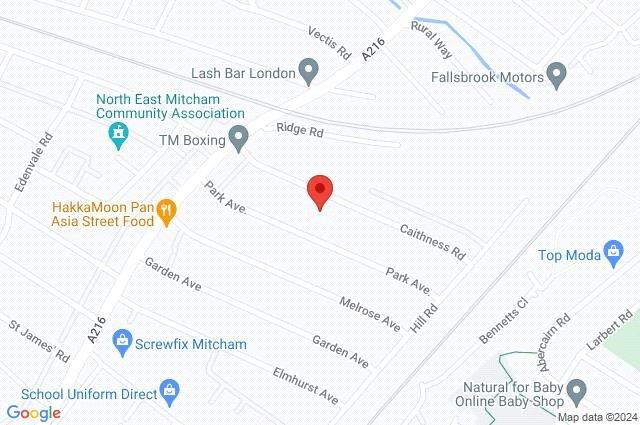 Google Maps Image