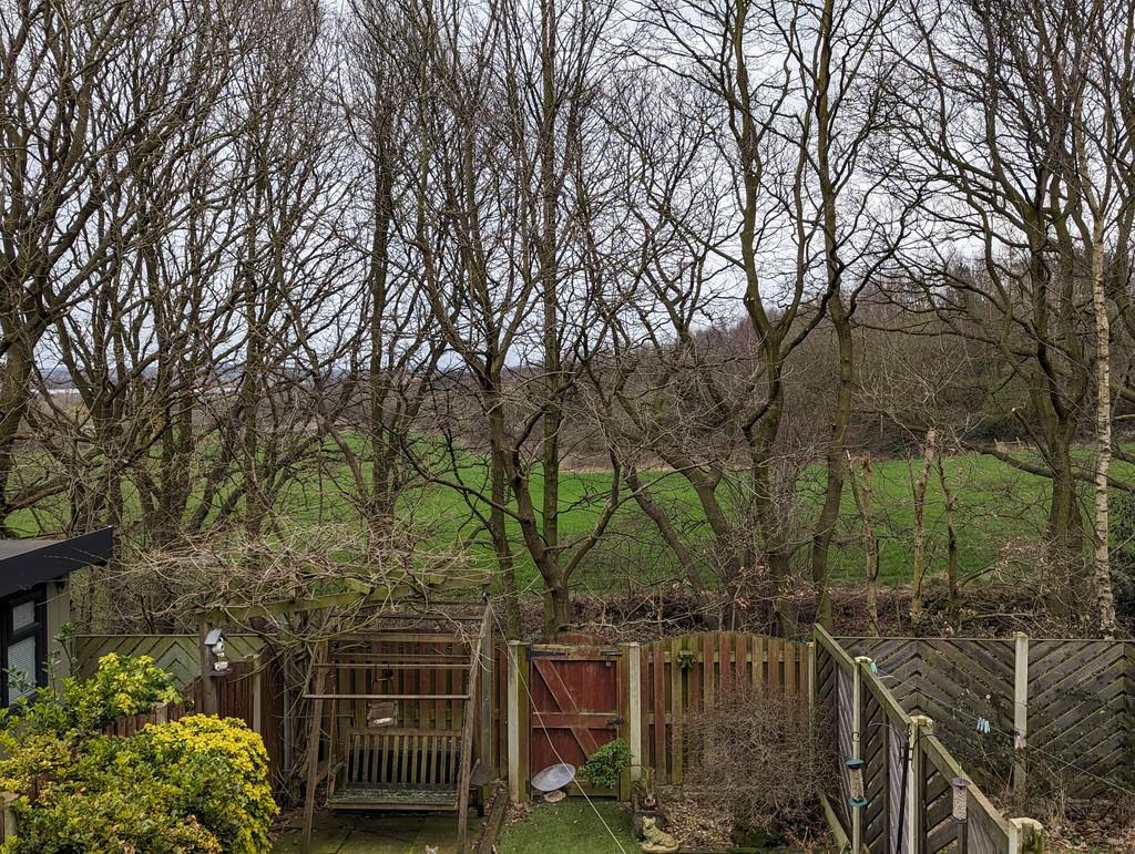 Garden 4