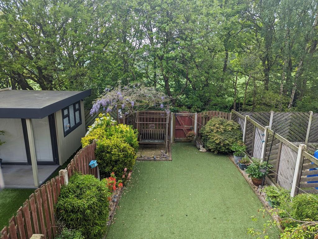 New garden