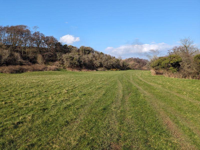 Lot 3 Looking North