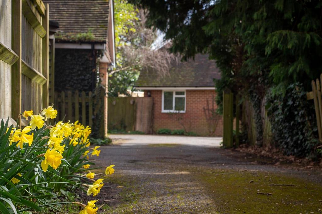 Access Driveway