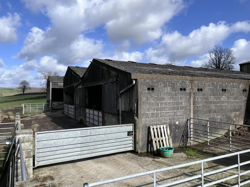 Cattle barns1.JPEG