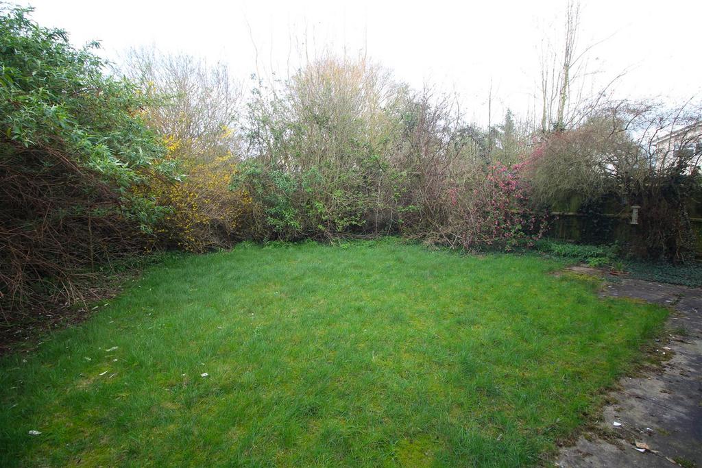 Garden 1 .JPG