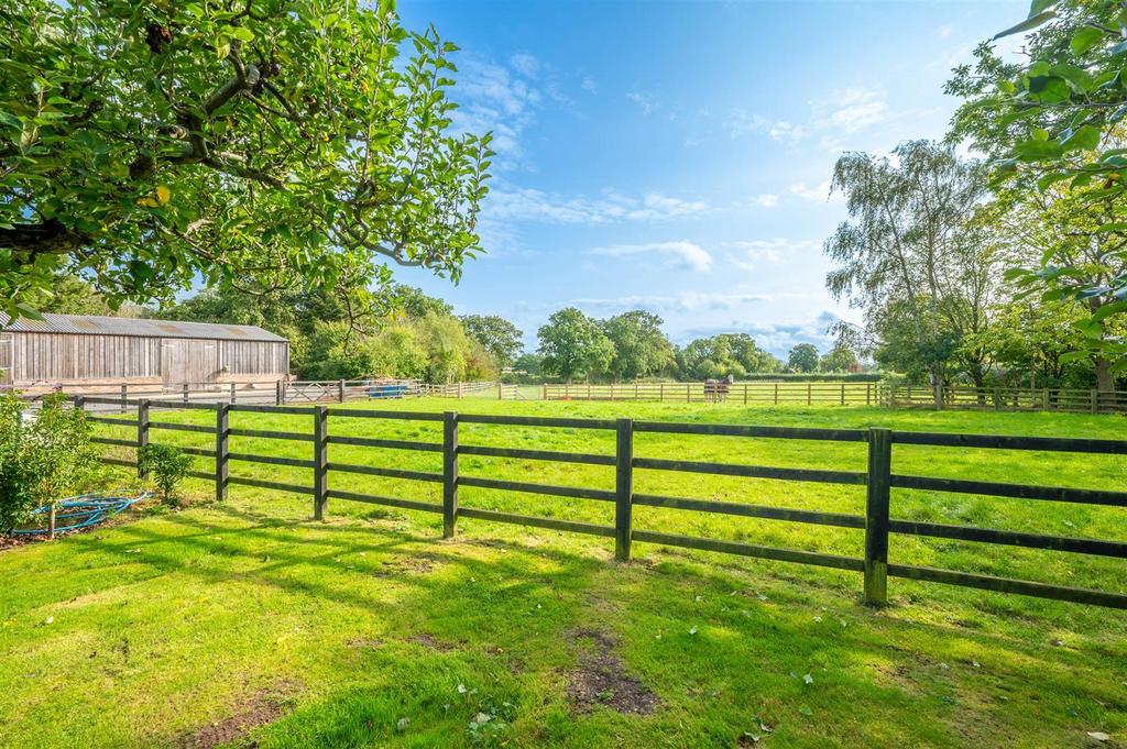 Pastureland