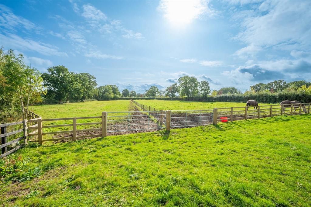 Pastureland