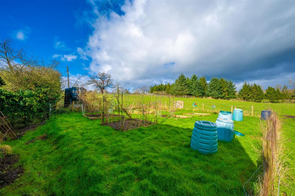 Vegetable Garden