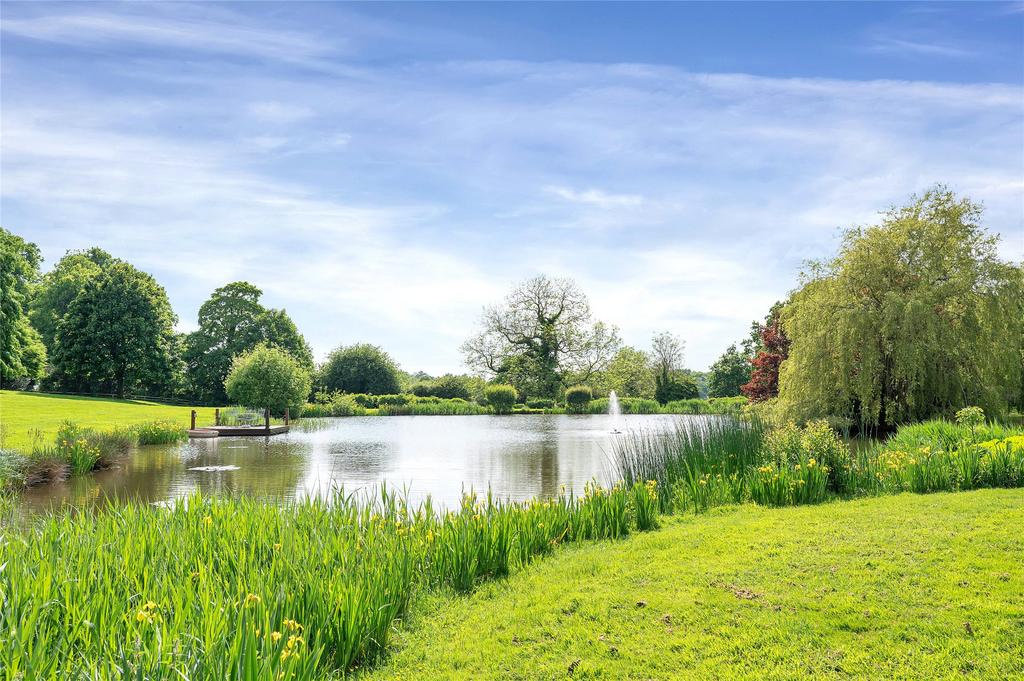 Grounds