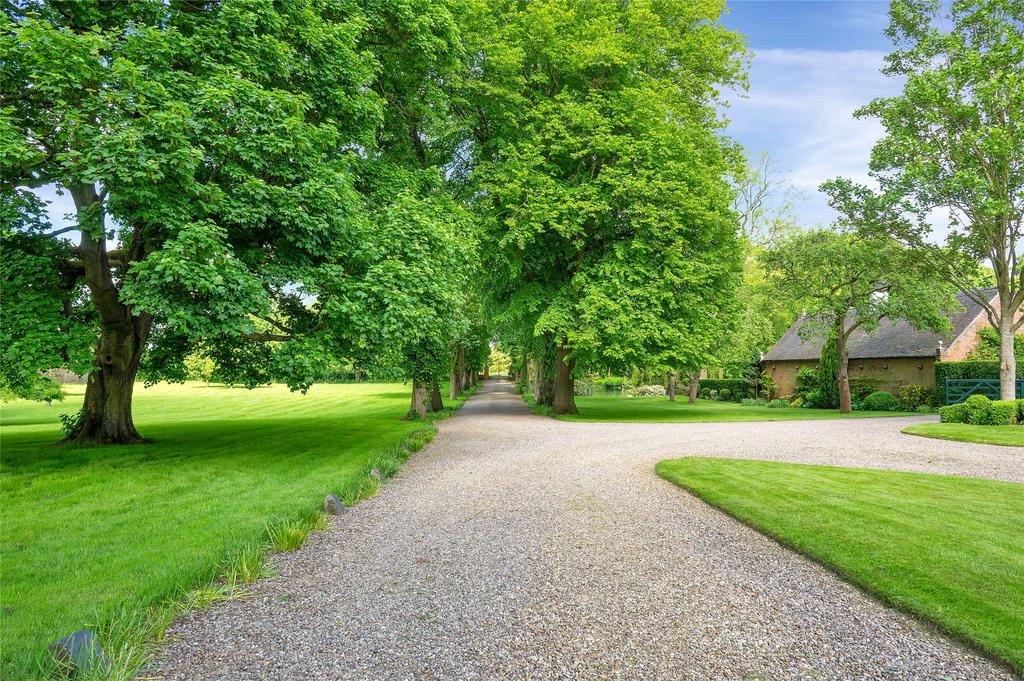 Grounds