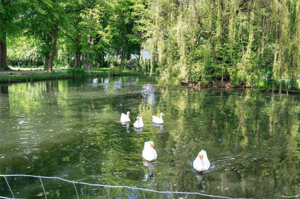 Grounds