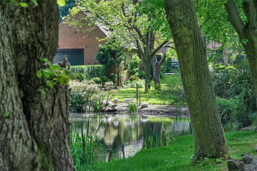 Grounds