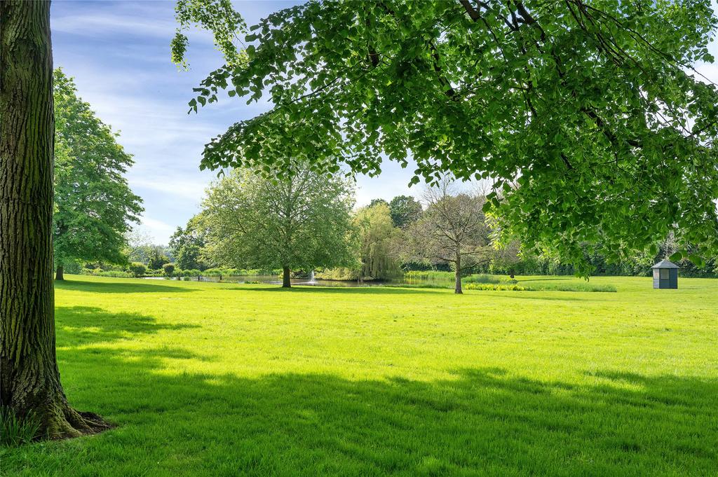 Grounds