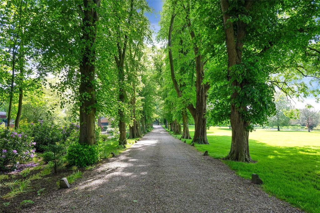 Grounds