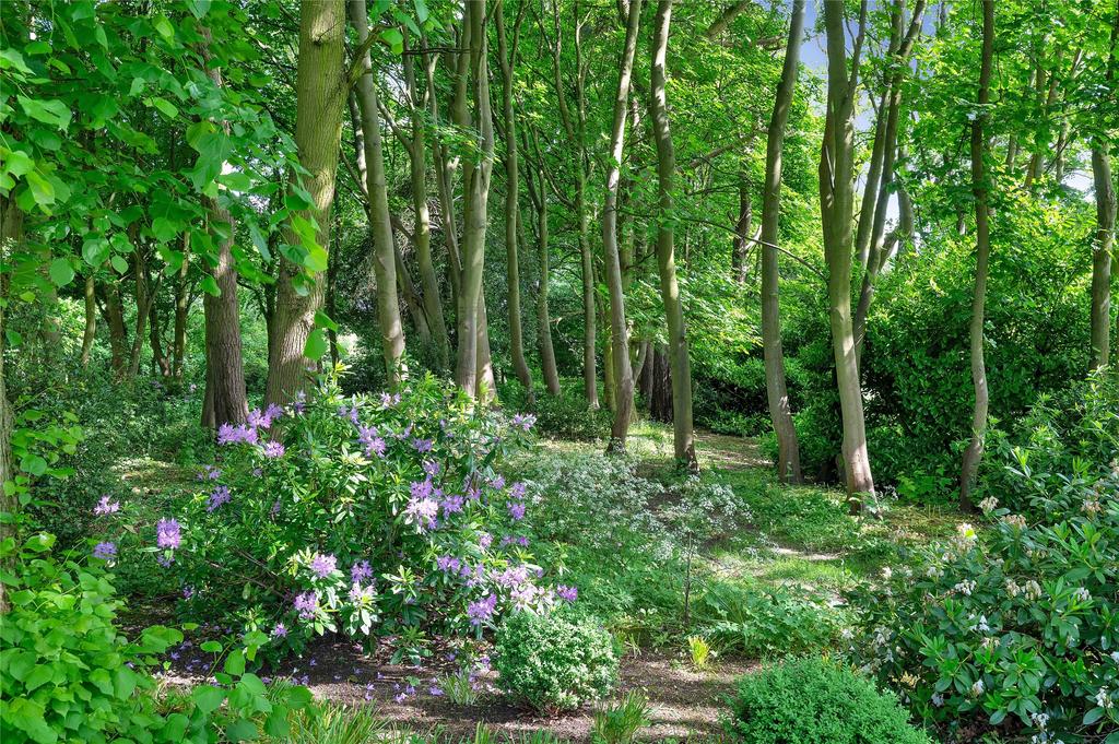 Grounds