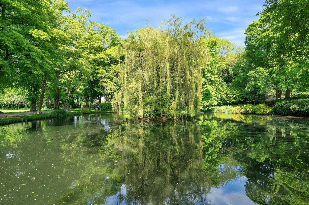 Grounds