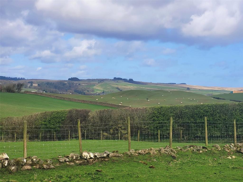 Picturesque Views