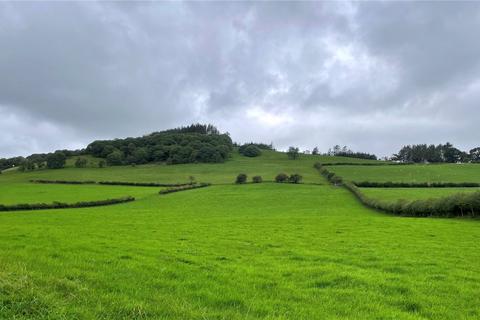 Land to rent - Land At Criggin, Felindre, Knighton, Powys, LD7