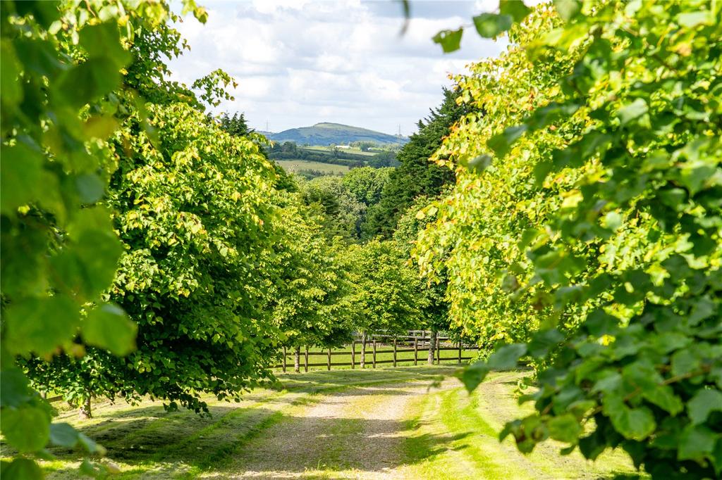 Higher Well Farm