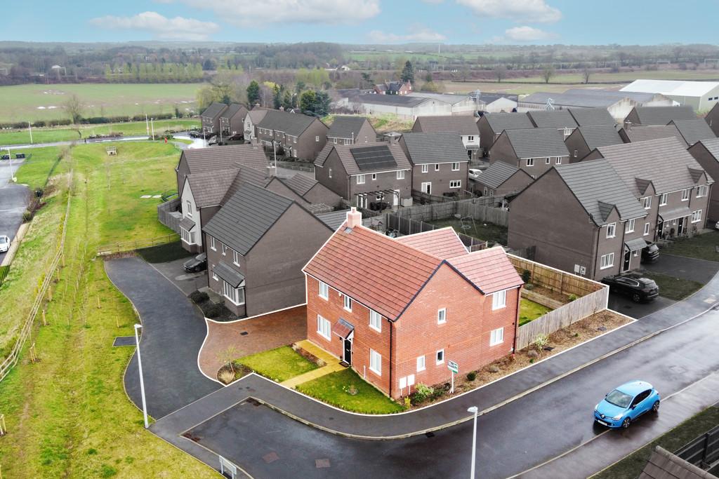 Aerial Shot