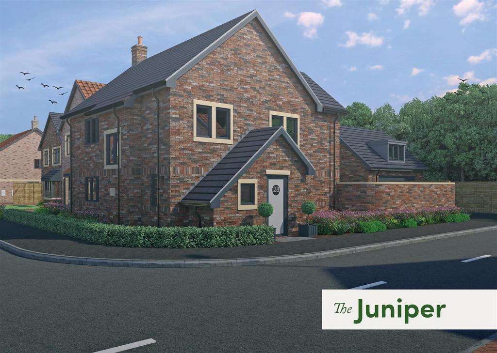 The Juniper.jpg