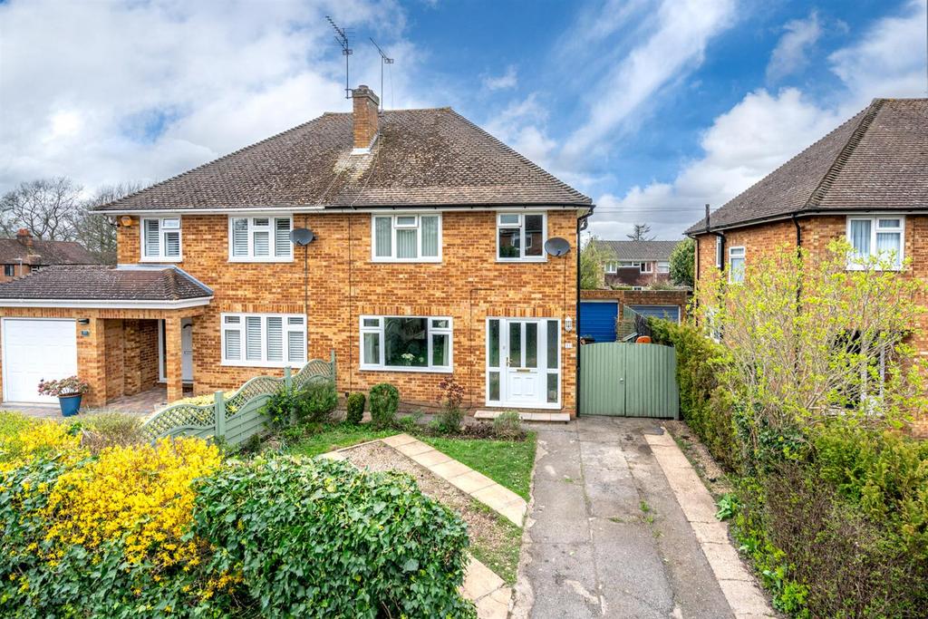 91-Rant-Meadow-2 [TIF 30051996809].jpg