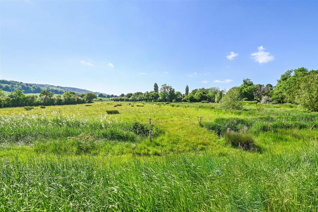 Field Views