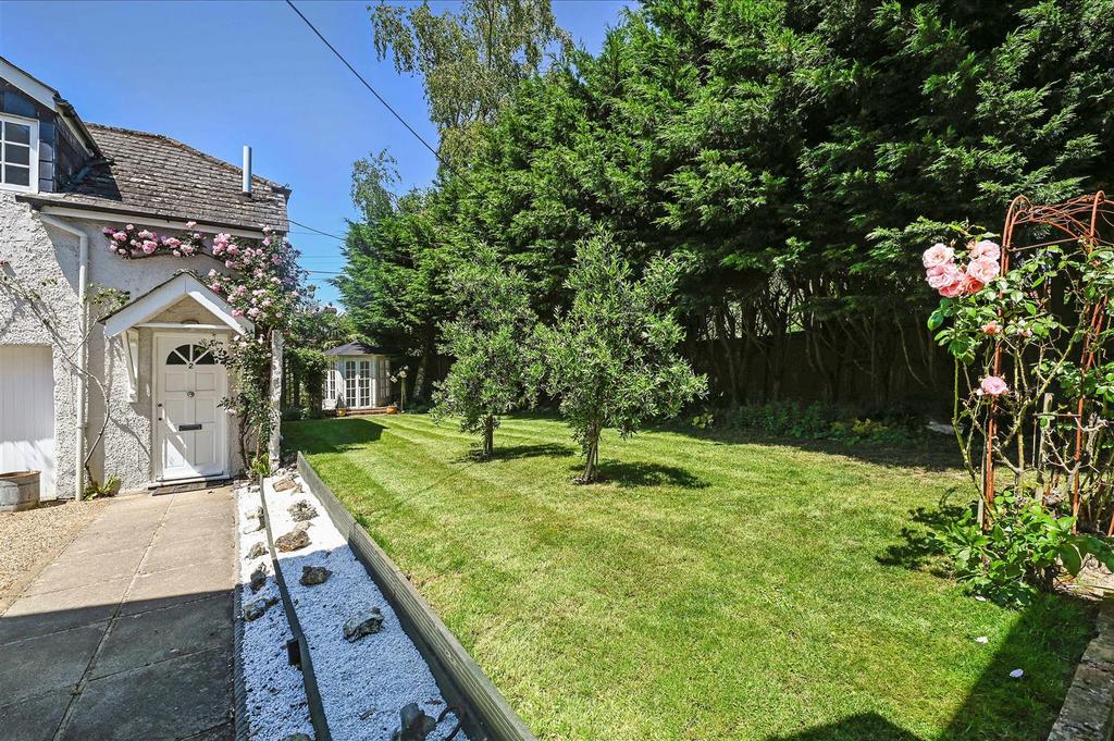 Back Garden