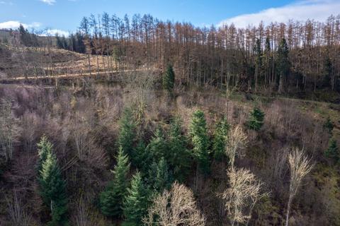 Land for sale, Ayton Woodlands, Aberargie, Perth, PH2